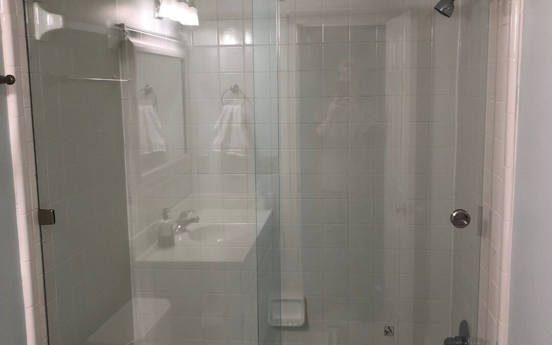 Shower Doors vs. Shower Curtains